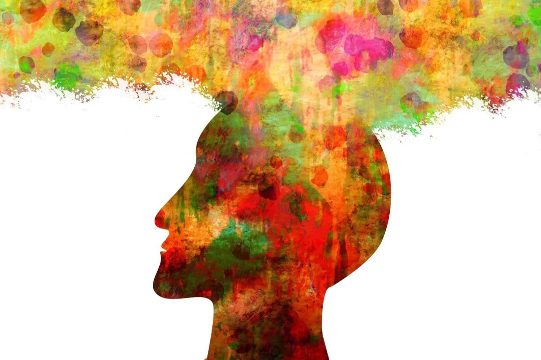 Can’t make up your mind? Ask Point Wizard